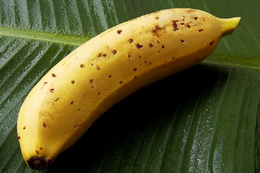 Whole banana with brown spots sitting on a banana leaf