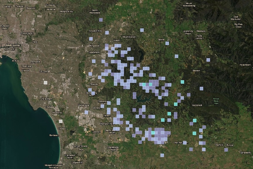 Small purple squares dot the eastern suburbs on a map of Melbourne.