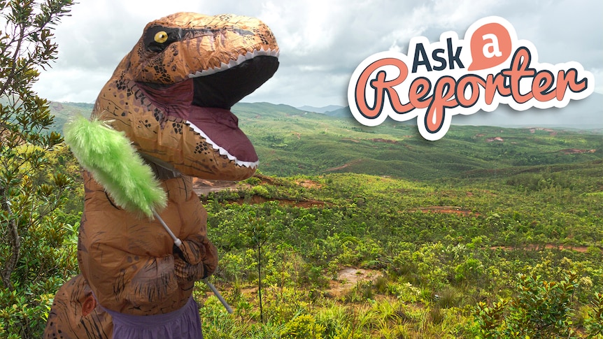 Joe wears an inflatable dinosaur costume, holding a duster in front of bushy hills.