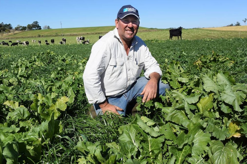 Dairy farmer Terry Toohey kneeling in a crop.