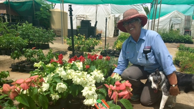 Woman in sunhat kneels beside colourful plants