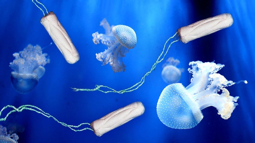 Tampons floating under the sea among jellyfish pictured in guide to plastic-free, sustainable period products.