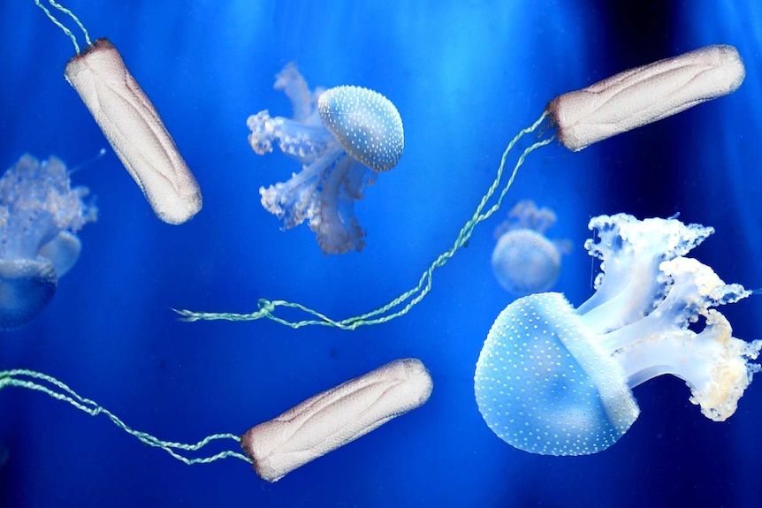 Tampons floating under the sea among jellyfish pictured in guide to plastic-free, sustainable period products.