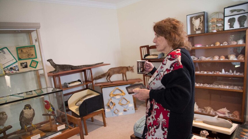 A woman walking with a cup of tea and plate of biscuits into a room surrounded by skeletons and stuffed animals
