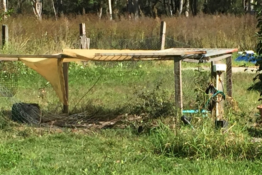 Chicken coop in Castlereagh where two people were attacked by dogs