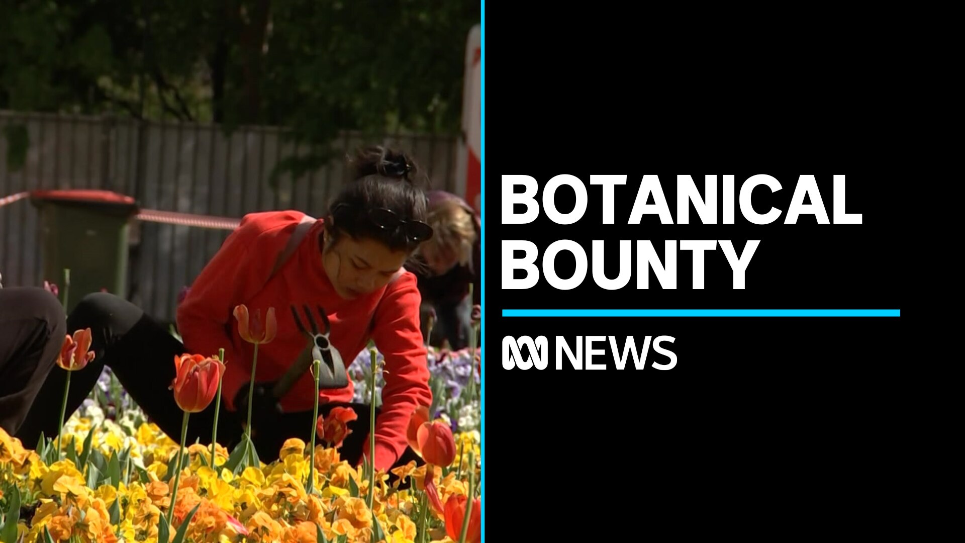 Tasmanian Government Reveals Draft Precinct Plan For Macquarie Pt