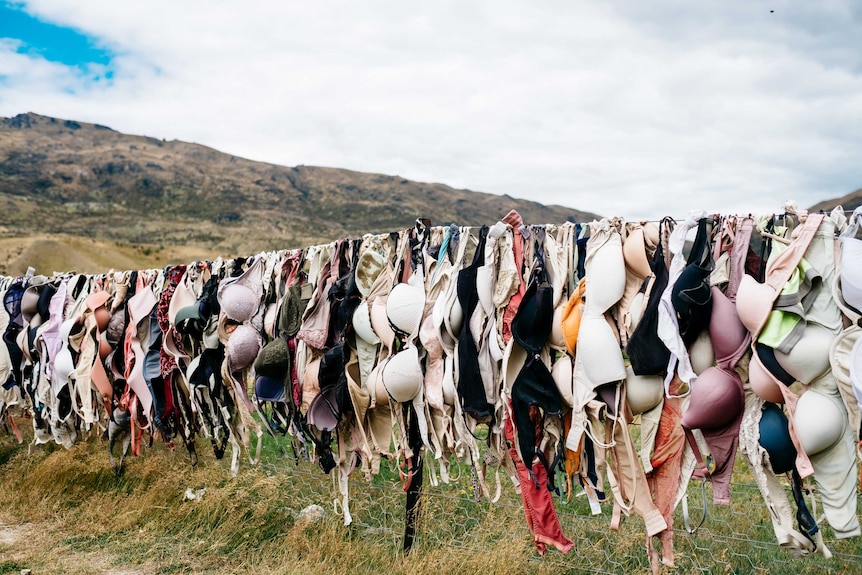 Many bras hang along a fence with mountains in the background