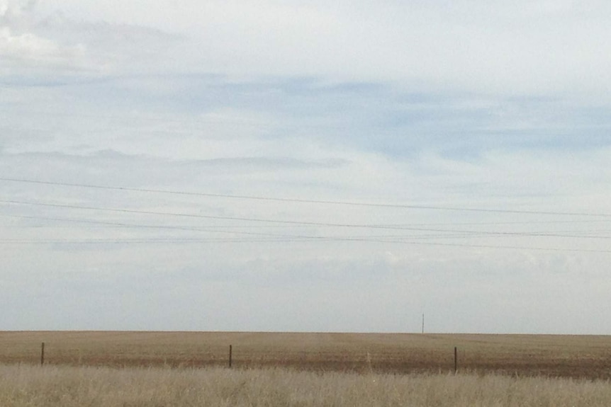 A cleared landscape in the Wimmera, western Victoria.