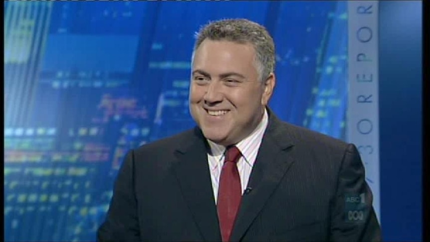 Mr Hockey says the Rudd Government did not provide enough information on it's emissions trading scheme.