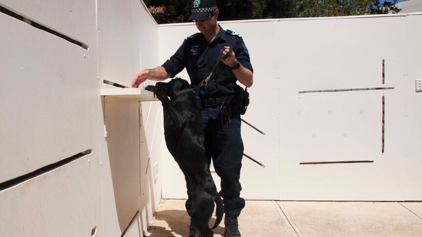 SC1C Marcus Whiting guides PD Lilly along a training detection wall.