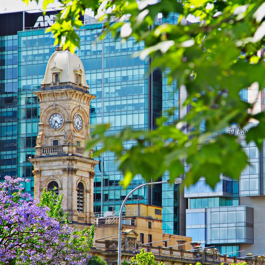 Adelaide city skyline with leafy green trees in the foreground.
