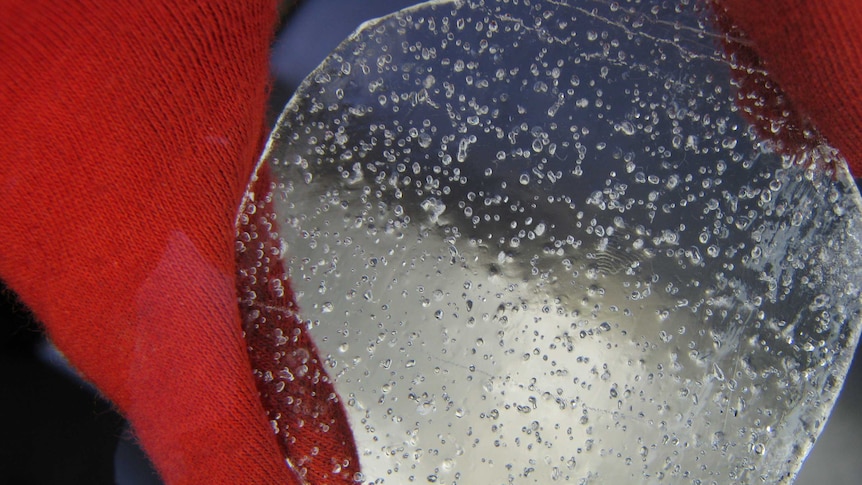 A close up of an ice core sample shows the bubbles trapped within it