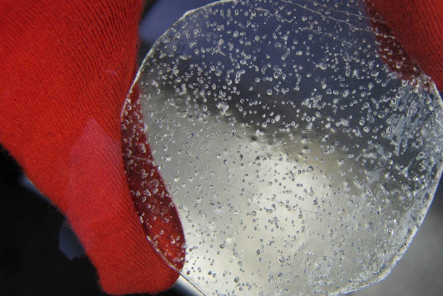 A close up of an ice core sample shows the bubbles trapped within it