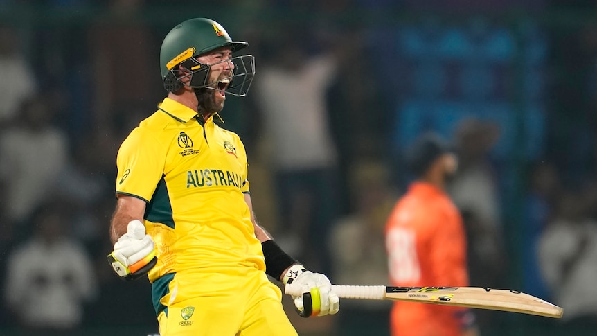Glenn Maxwell roars with celebration after scoring a century