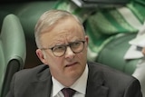 Albanese sits with a quizzical look at the despatch box on the house of representatives floor.