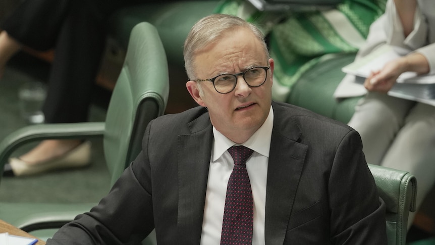 Albanese sits with a quizzical look at the despatch box on the house of representatives floor.