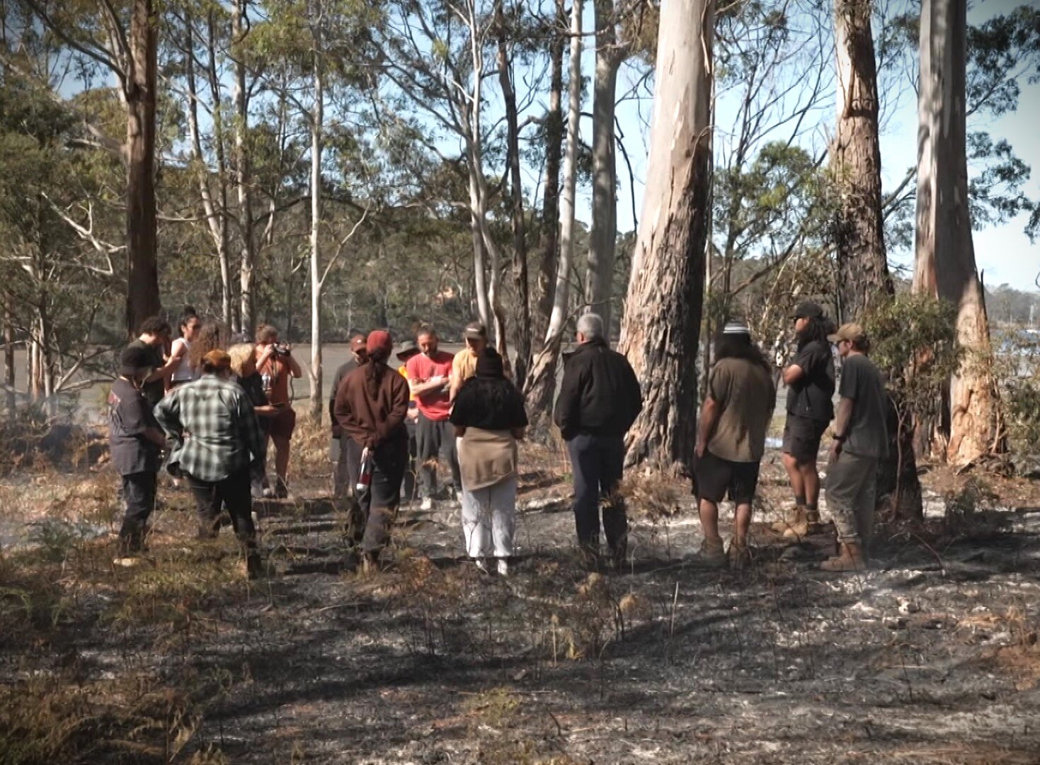 Gathering of Aboriginal people in bushland.