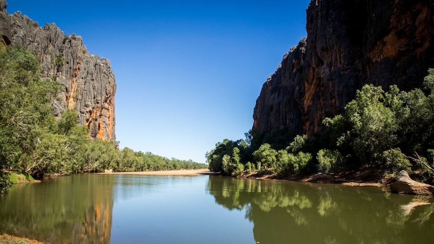 Windjana Gorge, a few hours' drive from Fitzroy Crossing, is home to hundreds of freshwater crocodiles.