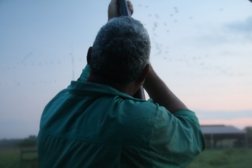 A man takes aim in the air to shoot at a flock of geese flying in the morning sky.