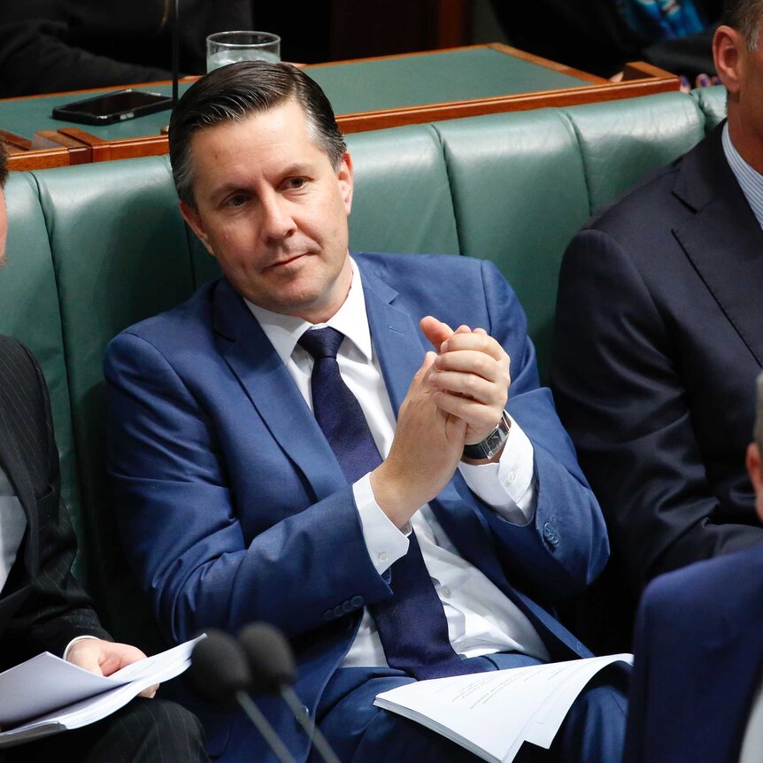 Mark Butler listening during Question Time