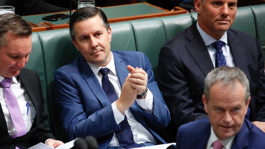 Mark Butler listening during Question Time