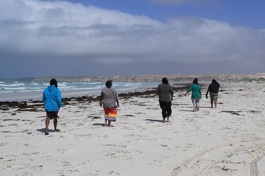 Indigenous women walking away from the camera on remote beach scene white white sand, sea weed and ocean with white caps.