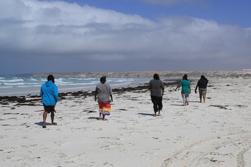 Indigenous women walking away from the camera on remote beach scene white white sand, sea weed and ocean with white caps.