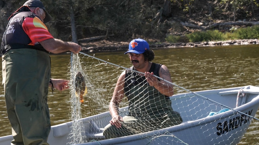 Two men on a small fibreglass boat on a lake, pulling a net in with a leatherjacket fish