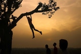 A silhouetted child swings from their arms beneath from a free branch in the last rays of daylight.