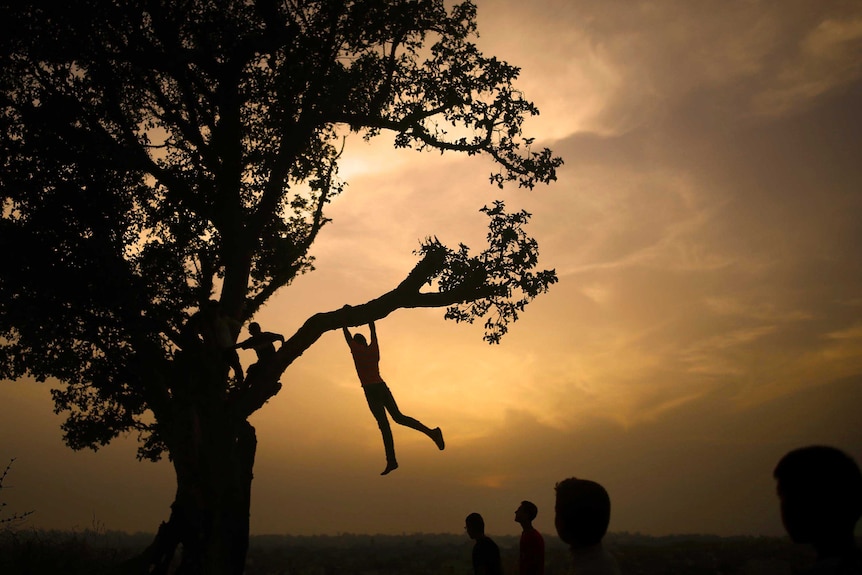 A silhouetted child swings from their arms beneath from a free branch in the last rays of daylight.