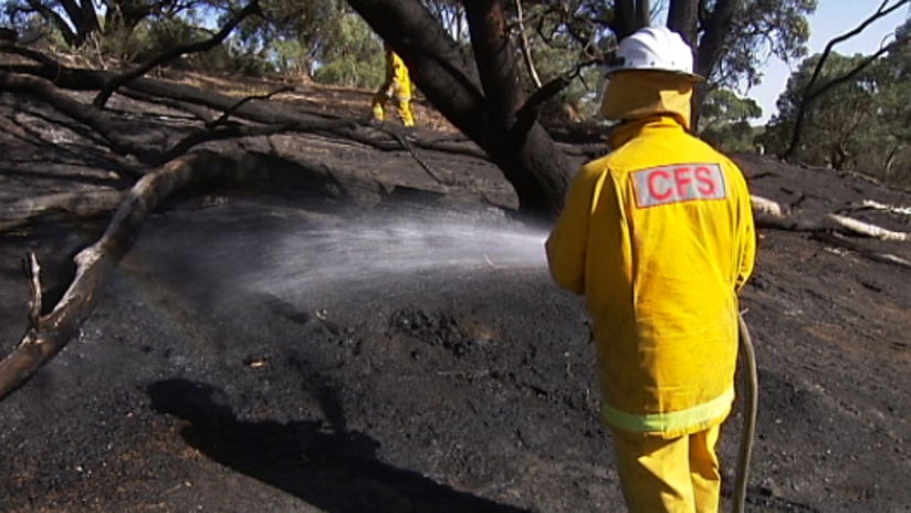 A volunteer firefighter hoses down charred bushland.