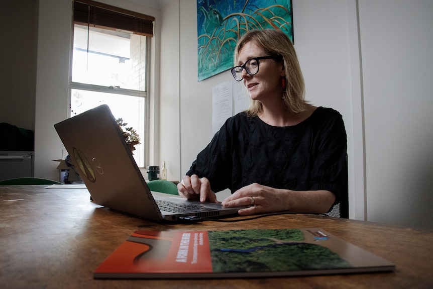 A woman sits at a computer in an office. 