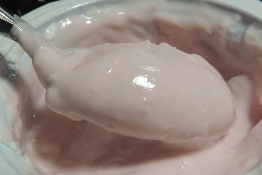 A spoonful of pink yoghurt.
