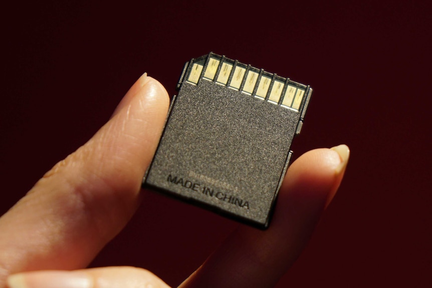 A woman holds an SD card in her fingers.