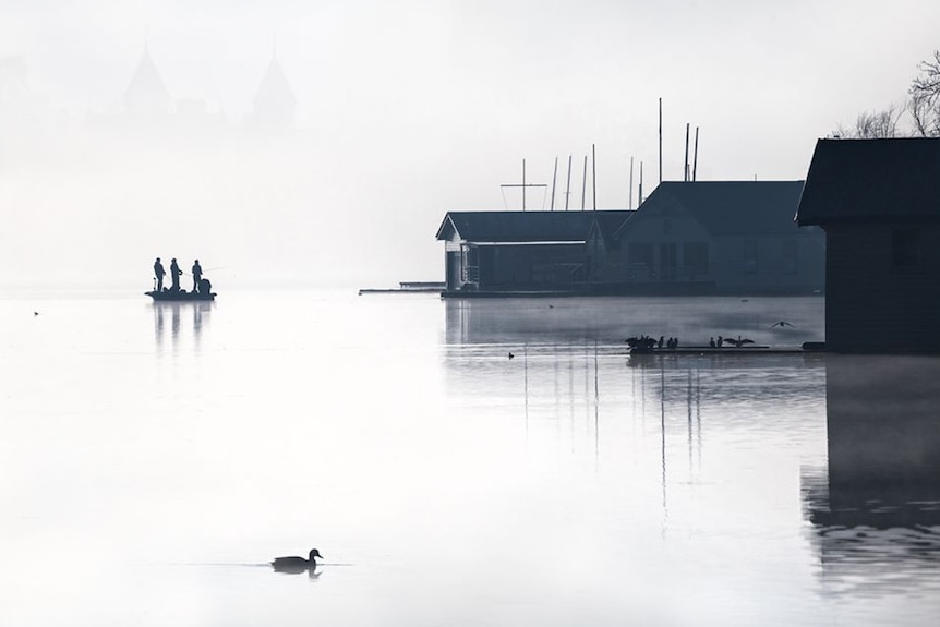 men stand on a boat fishing as fog sits on a lake, with a duck in the foreground