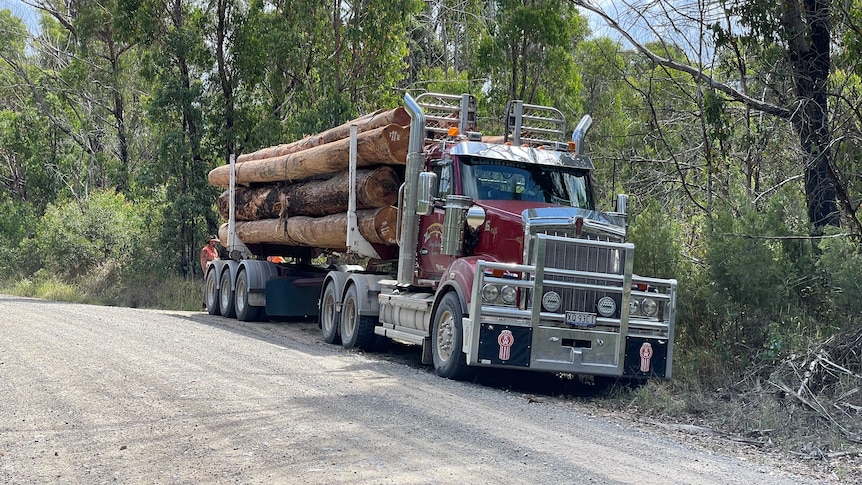 a truck loaded with large logs parked next to a dirt road in a forest