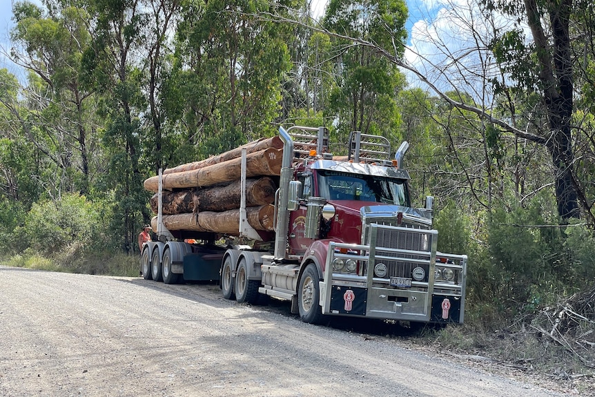 a truck loaded with large logs parked next to a dirt road in a forest