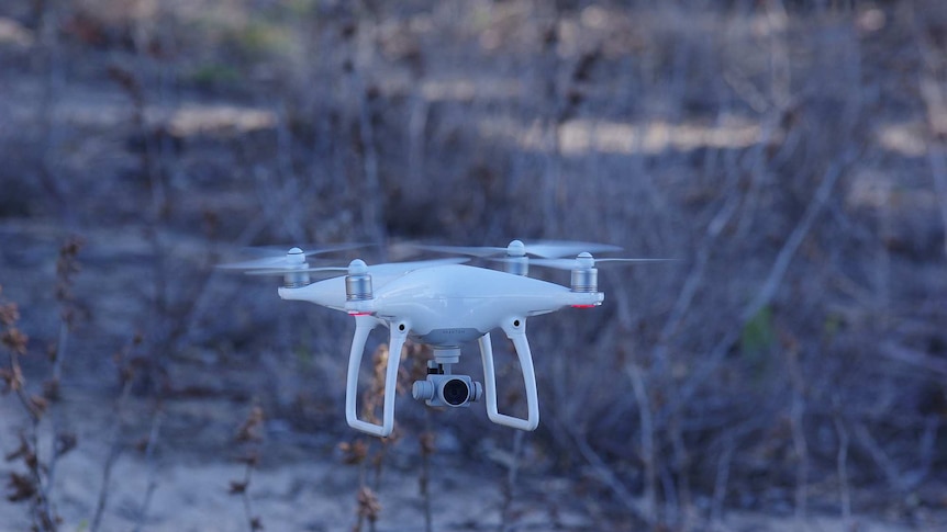 A drone in flight with bushes in the background.