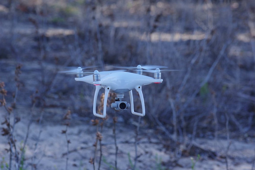 A drone in flight with bushes in the background.