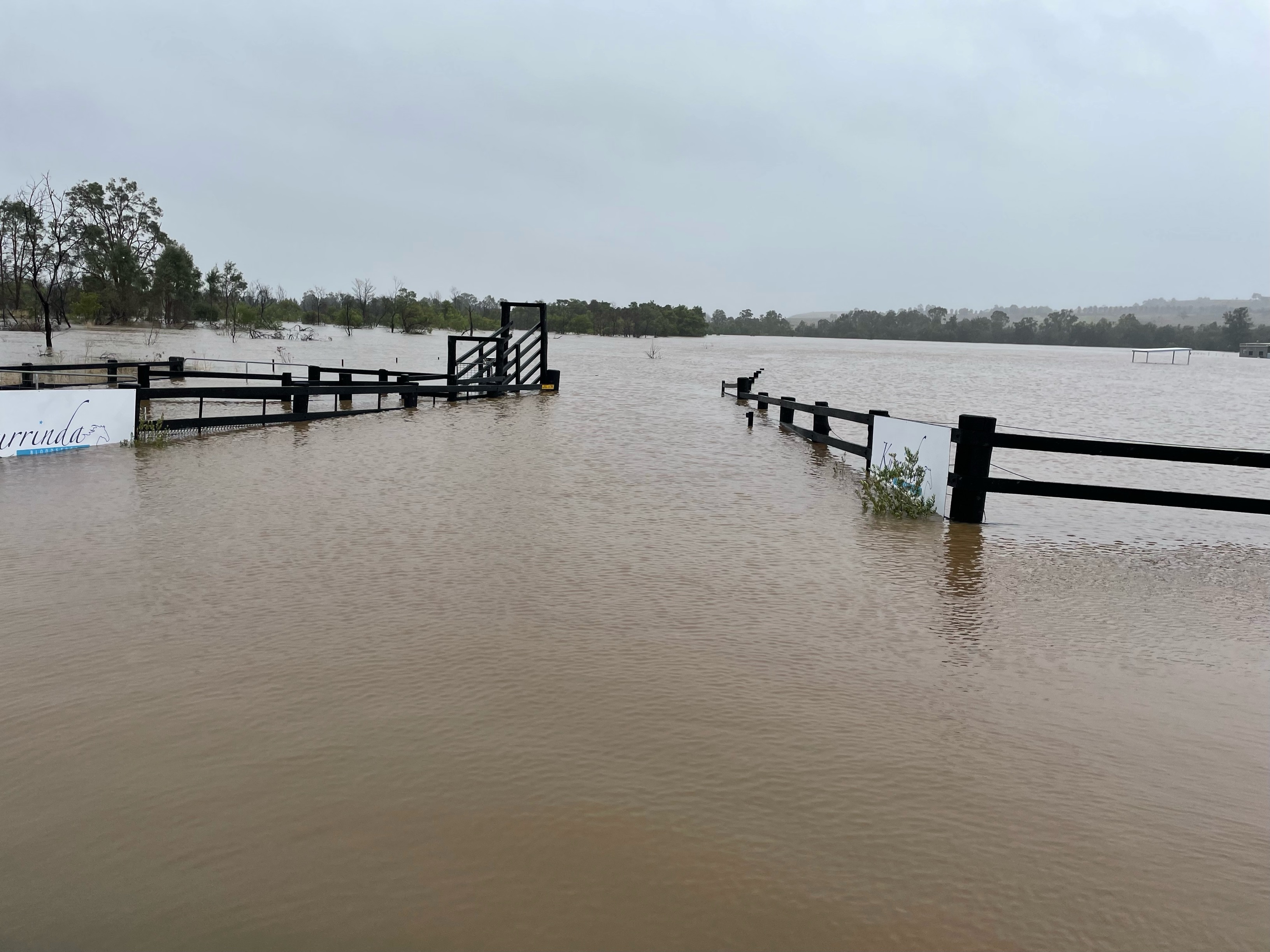 A flooded horse stud