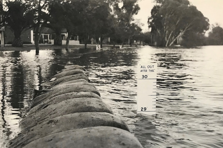 a black and white image of a wide river with sandbags and board poking out of the water
