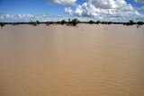 SA waits on Queensland floodwaters