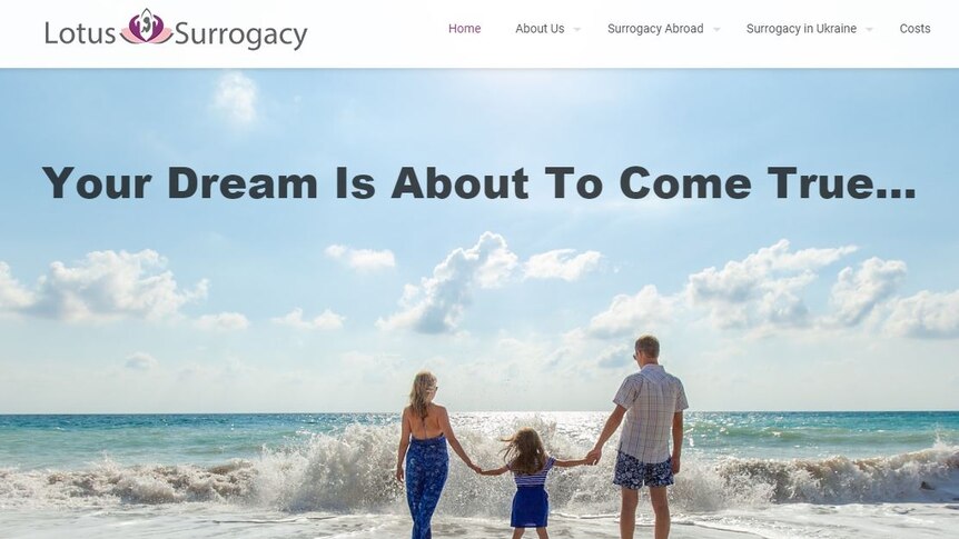 Webpage of the Lotus Surrogacy agency