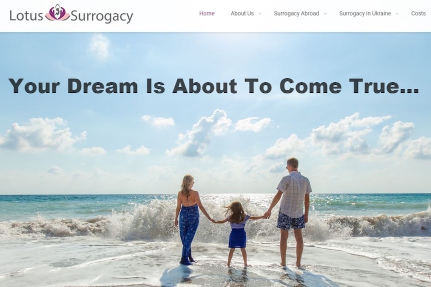 Webpage of the Lotus Surrogacy agency