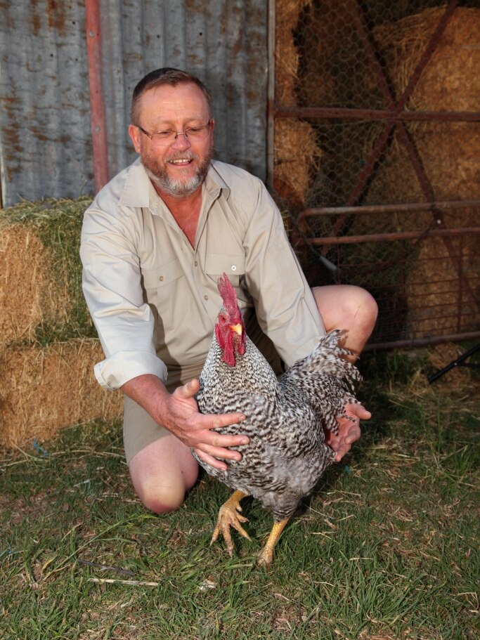 An older man in a khaki shirt holds a large chicken and look proud