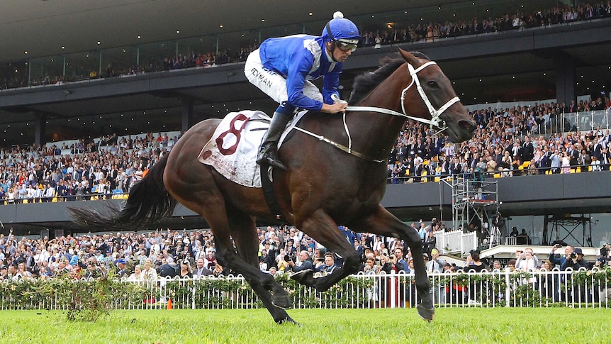 Winx wins George Ryder Stakes