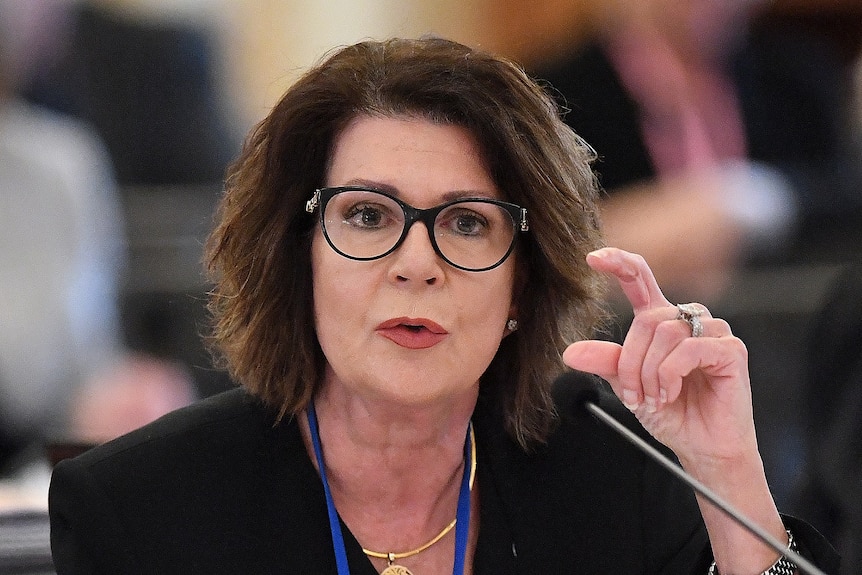 achel Hunter speaking during an Estimates Hearing at Parliament House in Brisbane