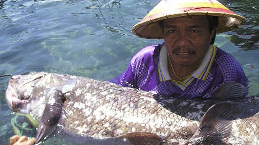 Indonesian fisherman Justinus Lahama holds up a rare coelacanth fish.