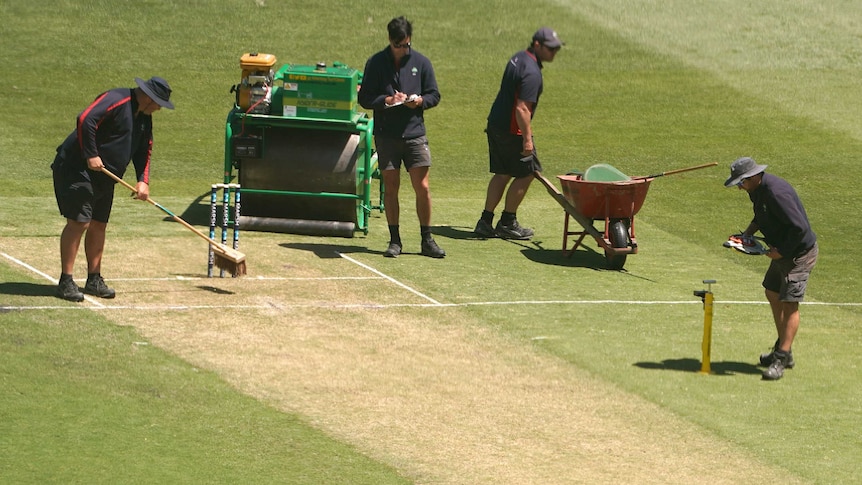 A number of groundspeople tend to a cricket pitch at the MCG.