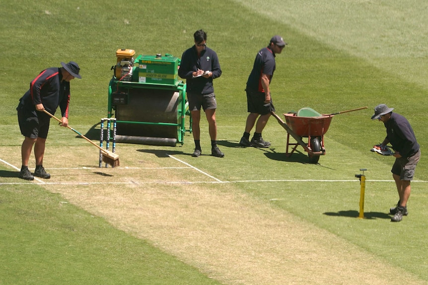 People inspect the wicket on the grass at the MCG.